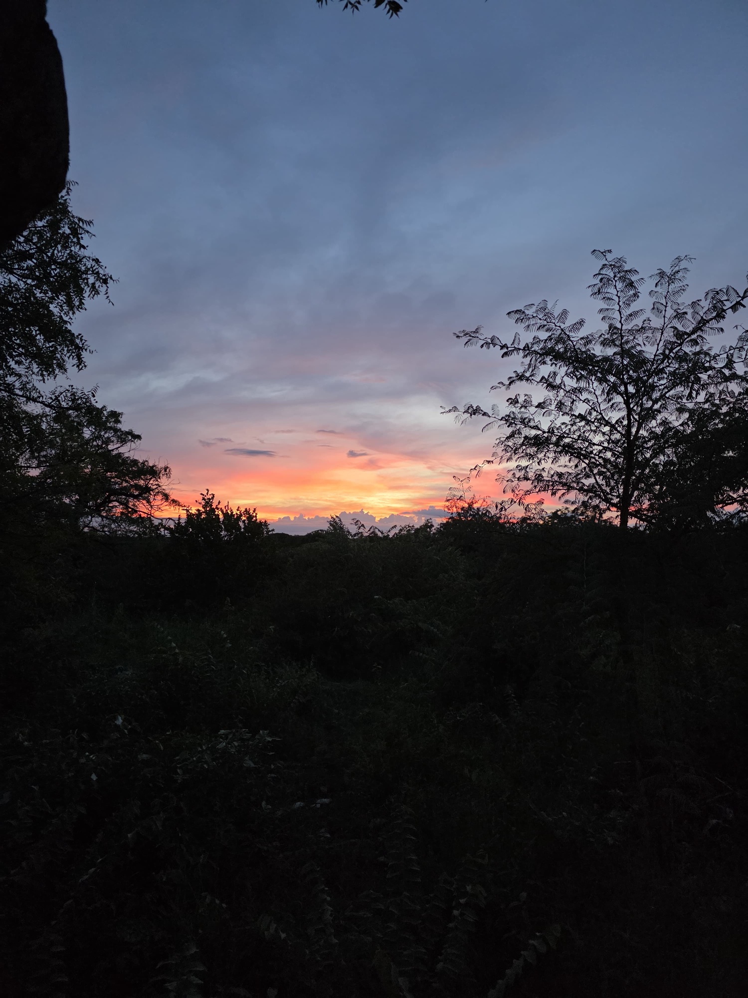 Sunset glowing over dense woodland in Namibia